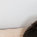 코아스이비인후과의원 이미지