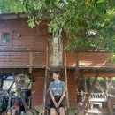 행복나무민박 이미지