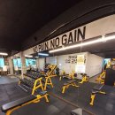 영바디짐 이미지