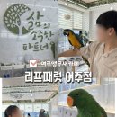 여주-0452 이미지