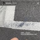 샵디어리스트