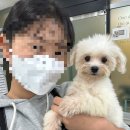 키스더도그/아르테미스 이미지