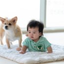 시오꾸꾸