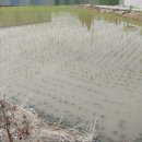 성도유통 이미지