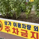 아돌프피트니스 | 부티크 그룹 피트니스 • 고효율 다이어트 아돌프그룹pt 다대포점