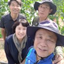 준태농장 네이버블로그