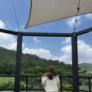 •짤log [진도 쏠비치]1박2일 내돈내산솔직 후기/+쏠비치근처맛집/카페