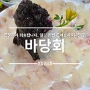 예술로 여는 서귀포의 봄<지드림_春(춘)夏(하)秋(추)冬(동)> | 제주 서귀포 회 맛집 바당회 솔치 처음먹어본 후기