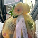 돋질로 | 블챌 일상 포토덤프 3주차 병가 끝 그리고 출근 돋질로 상견례 후기