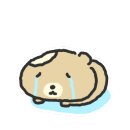 뽀송하랑 이미지