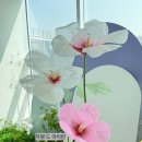 무궁화어린이집 | “무궁화 포토존 제작기 | 전문가 핸드메이드로 완성한 감동의 무대”