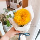 충주시 동수10길 36-1 이미지