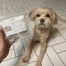 우프밀(woofmeal) 이미지