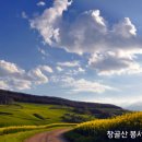 도인로 Daum카페