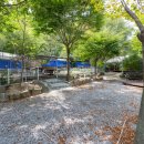 영월별마로펜션캠핑 이미지