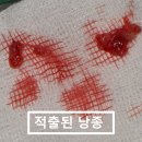 대신바른본의원 이미지