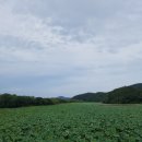 팔당물안개공원 이미지