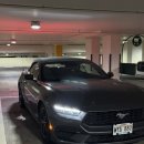 희망공원 쪽 교통섬 | [🌴하와이/신혼여행] 오아후의 대자연, 쿠알로아 랜치 UTV 랩터 투어 완전 정복! 예약방법 안내