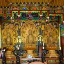 완도22호 이미지