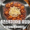 통큰손 쭈꾸미마을 응암점 이미지