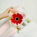 리도르 생화한송이 🌿 집으로 온 작은 꽃집, 생화 택배 후기 🌸