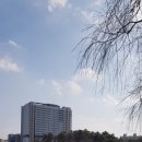 진천길약국 이미지