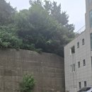세븐일레븐 삼천포핫플레이스점 | [당진 여행] 왜목마을 좌대낚시 솔직 후기! 주차 꿀팁부터 폭우 속 낚시 이야기까지 총정리