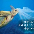 The 바다 이미지