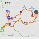 토골 이미지