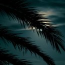 싱잉볼 힐링명상 이미지