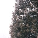 서촌 공중화장실 이미지