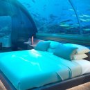 몰디브호텔 이미지