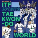 ITF 태권도 송파도장 이미지