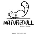 자연돌스(naturedoll) 네이버블로그