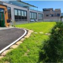 타로테라피 이미지