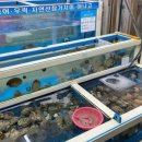 퐁당온수풀엔스파 네이버블로그