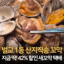 벌교택배 | 벌교 산지직송ㅣ통통한 꼬막 택배 후기! 해감부터 삶는법까지 완벽 정리