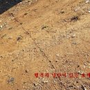 이안농장 이미지