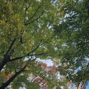 엄재화내과의원 이미지