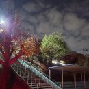 대곡초등학교 | 일산 대곡초등학교 부모 욕구코칭
