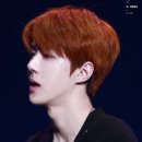 헬로오렌지