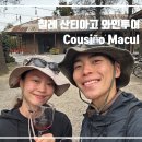 금빛태양광 | 칠레 산티아고 Viña Cousiño Macul 와인 투어 후기 (25.8.12)