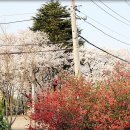 동산로 이미지