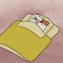 국가대표 금메달 태권도장 이미지