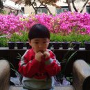 그린비브레인어린이집 이미지