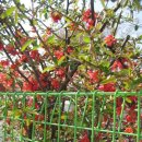 유덕어린이집 이미지