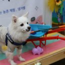 생생농장 이미지