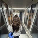 아이누리수영장 | 10월, 3박 5일, 여자 셋의 세부여행 🏊