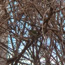 산새체육공원 이미지