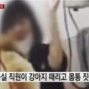 서울애견 미용실 이미지